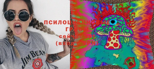 не бодяженный Верхний Тагил