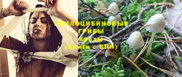 не бодяженный Верхний Тагил