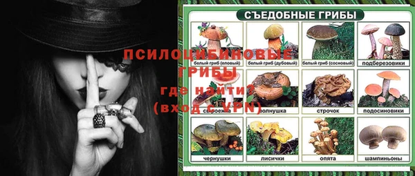 винт Верея