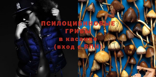 крисы Верхнеуральск