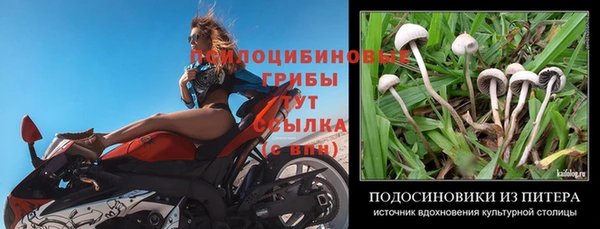 не бодяженный Верхний Тагил